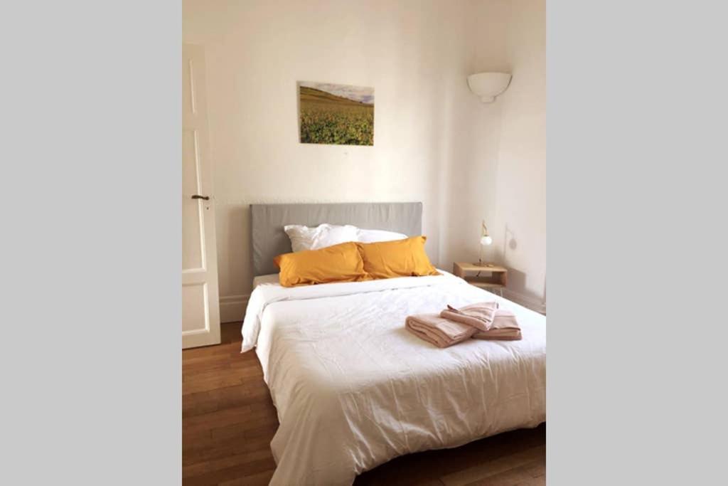 Appartement cosy idéalement situé au centre ville Dijon Exterior foto